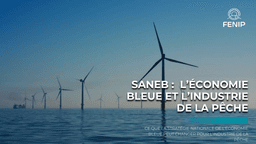 SANEB : ce que la Stratégie Nationale de l’Économie Bleue peut changer pour l’industrie de la pêche