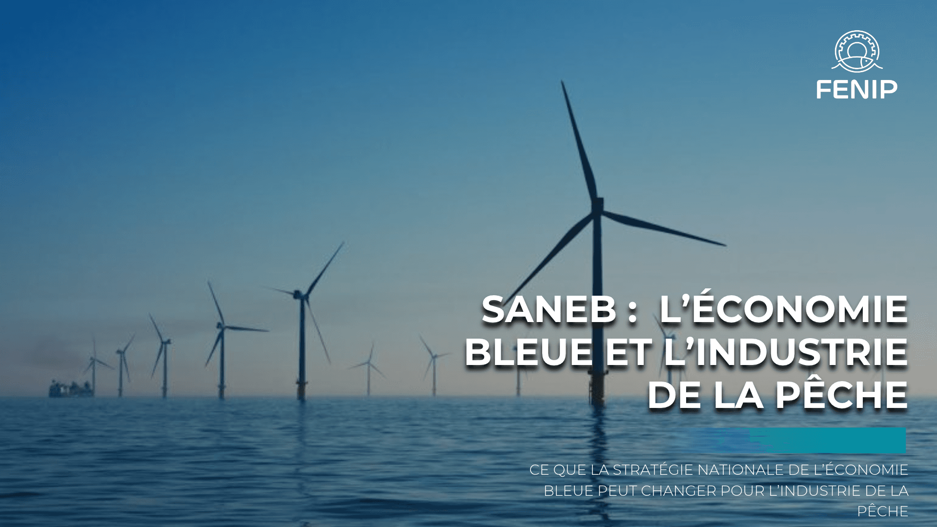 SANEB : ce que la Stratégie Nationale de l’Économie Bleue peut changer pour l’industrie de la pêche