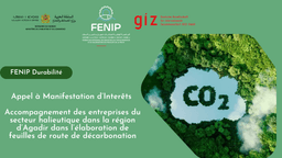 Appel à Manifestation d’Intérêt (AMI) : Accompagnement des entreprises du secteur halieutique dans la région d’Agadir dans l’élaboration de feuilles de route de décarbonation