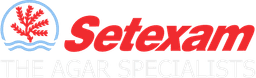 Setexam