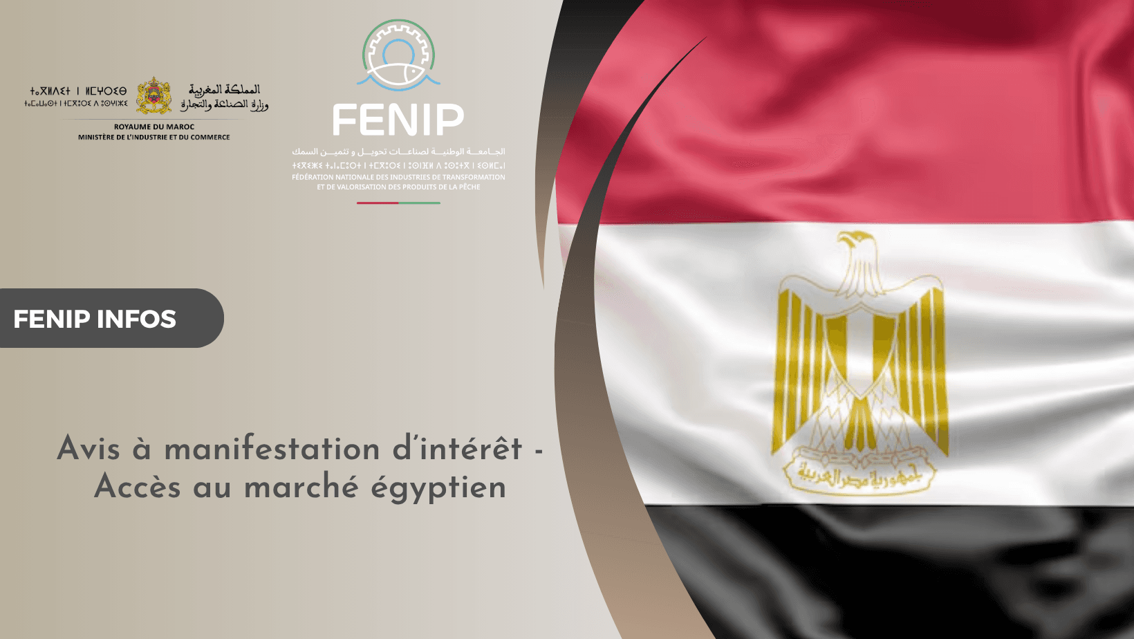 إعلان عن طلب إبداء الاهتمام – الولوج إلى السوق المصرية