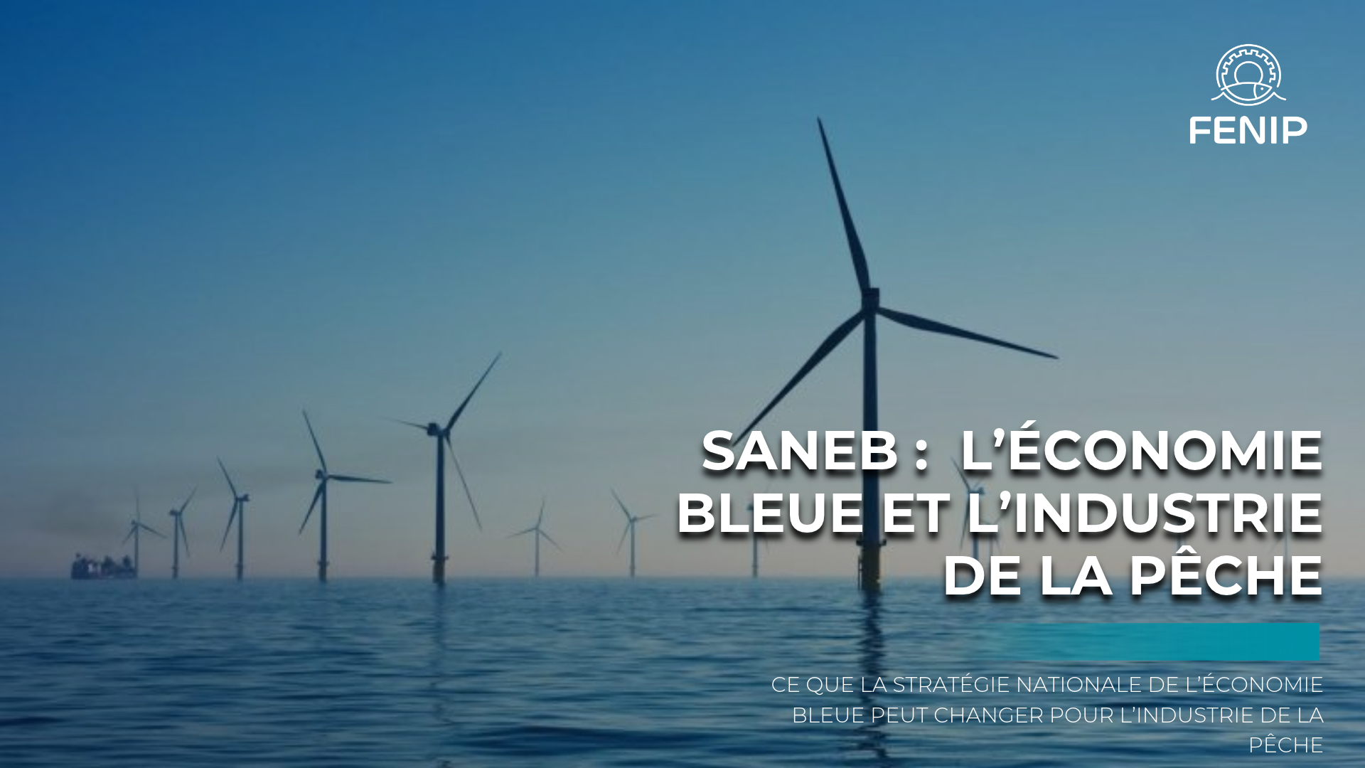 SANEB : ce que la Stratégie Nationale de l’Économie Bleue peut changer pour l’industrie de la pêche