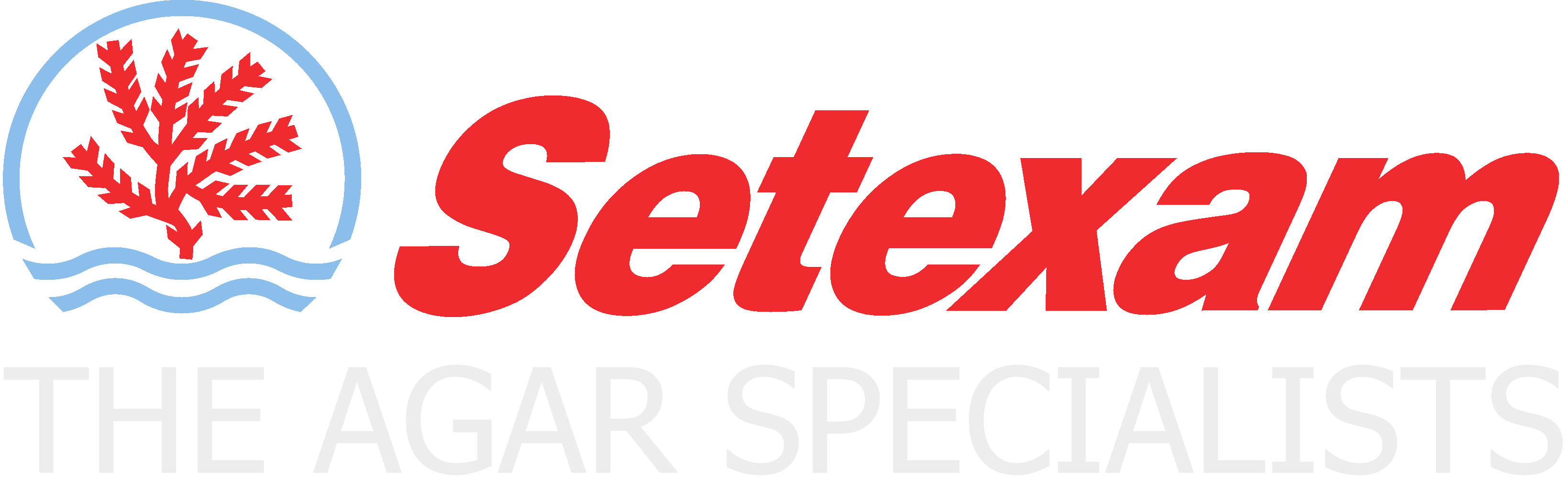 Setexam
